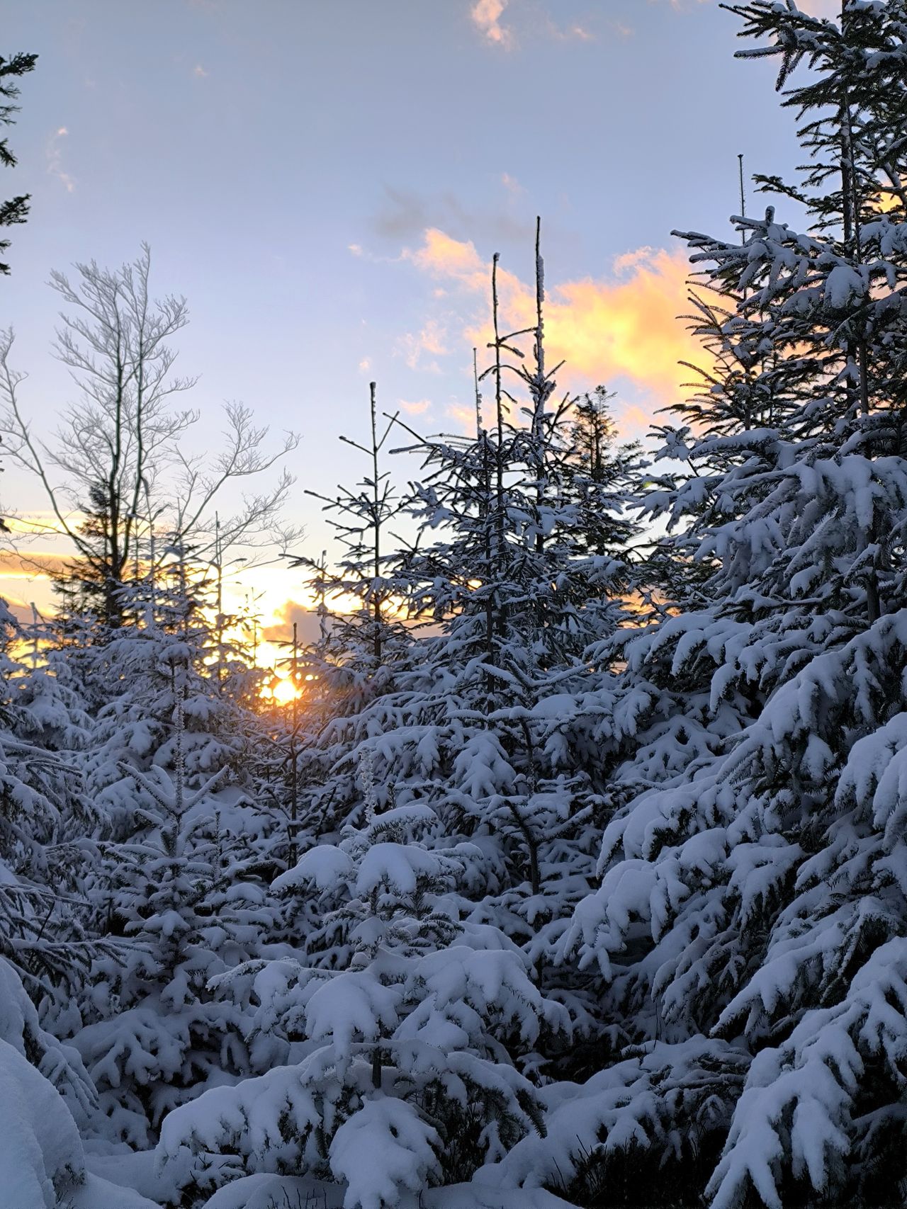 Zachód słońca na Klimczok i Szyndzielnia