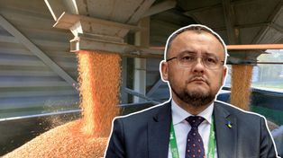 Ambasador Ukrainy o zbożu. "To jest dla Polski opłacalne"