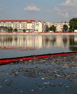 Tak teraz wygląda Odra. Lepiej się nie zbliżać. Alert ws. wody pitnej