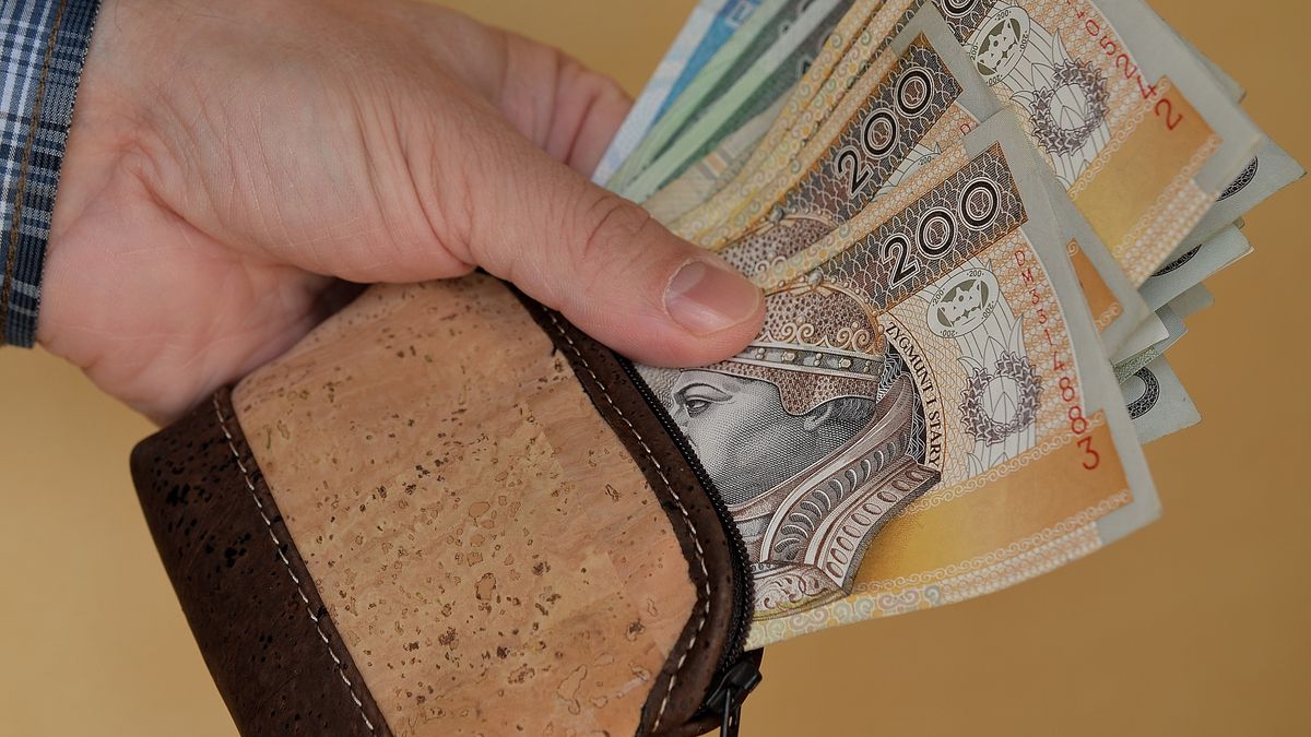 portfel, finanse, pit, rozliczenie, ekonomia, economics, kantor, fiskus, podatki, wydatki, banknoty, waluta, forsa, kasa, pensja, koszt, zarobek, raty, rata, kredyt, planowanie, euro, inflacja, odsetki, e-zakupy, e-sklep, monety