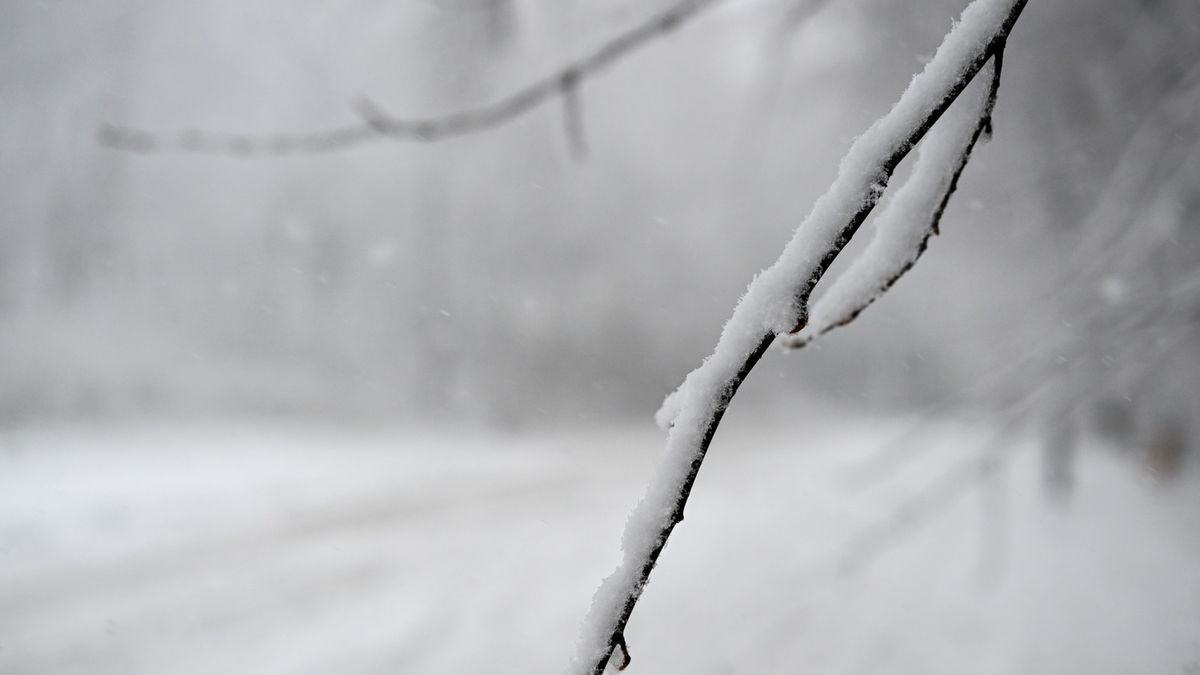 Podkarpacie pod śniegiem. Cztery tysiące odbiorców bez prądu