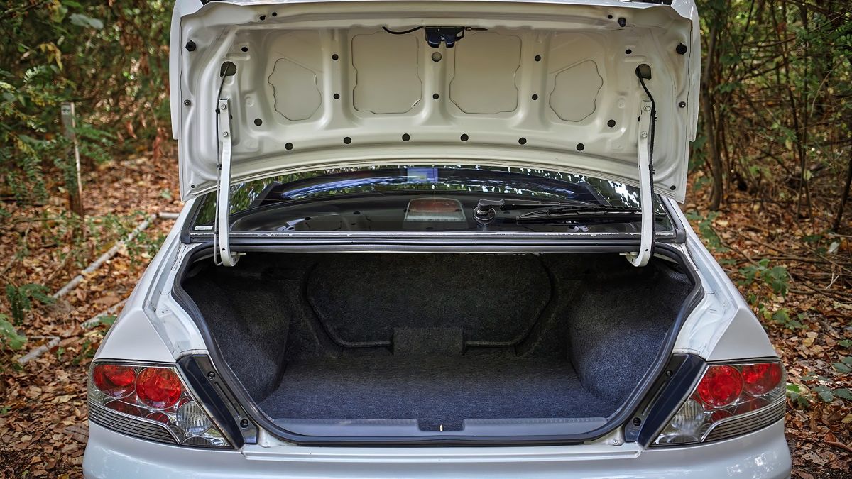 Wywieźli go do lasu i przywiązali do drzewa. Zdjęcie ilustracyjne. 