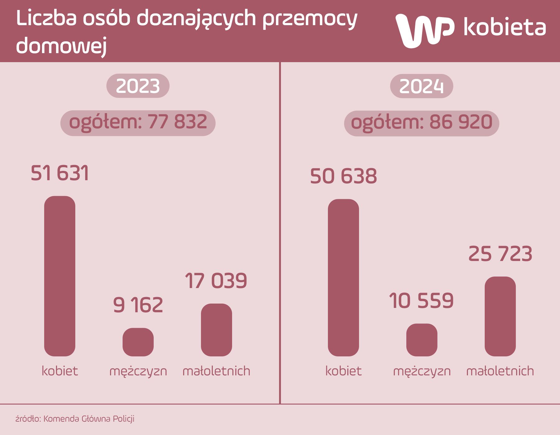 Statystyki dot. przemocy domowej -rok 2023 i 2024 