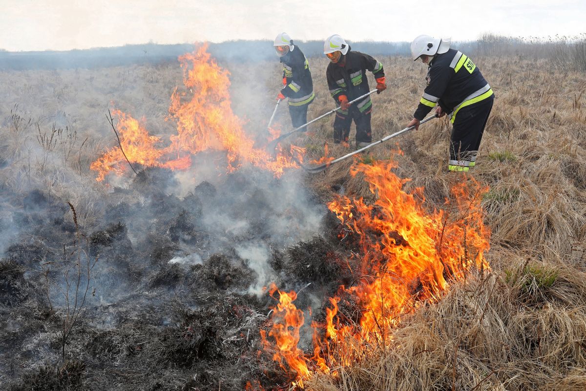 Biebrzański Park Narodowy. Pożar strawił tysiące hektarów łąk i lasów. Chęć pomocy jest silniejsza niż strach