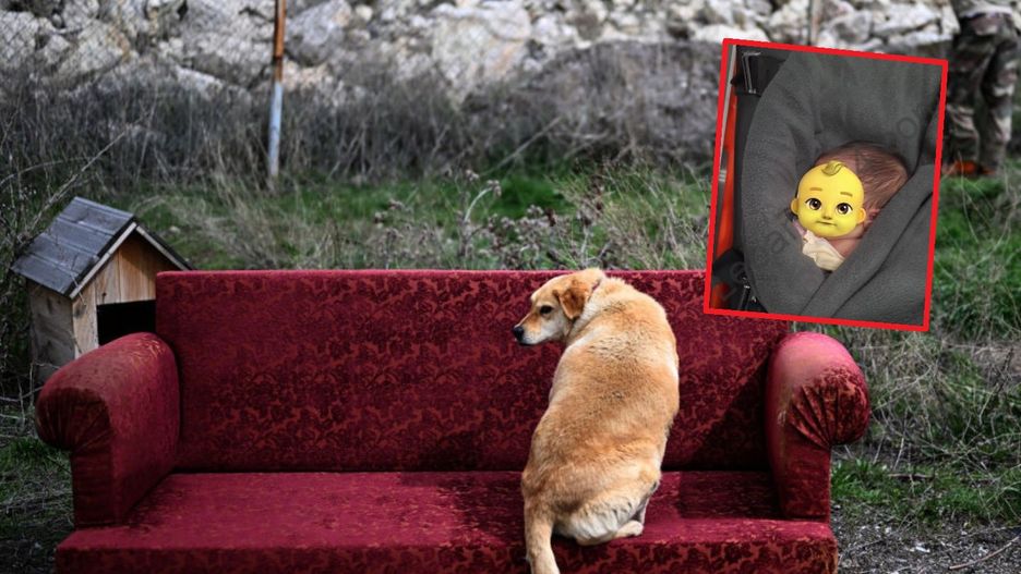 Ktoś wyrzucił dziecko w plastikowym worku. Uratował je bezpański pies