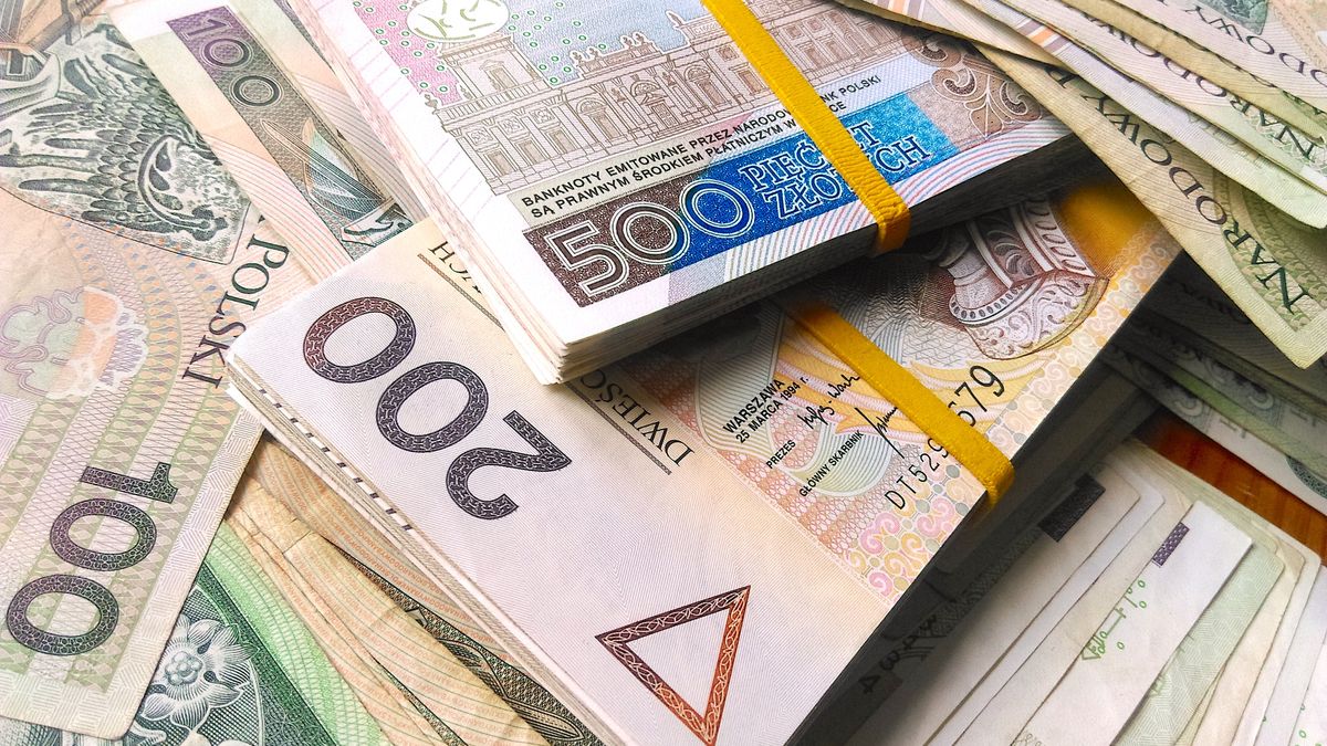 euro, waluta, bisnes, gotówka, finanse, bank, papier, bogactwo, bankowej, banknot, dolar, notatka, banknoty, 100, inwestycja, gospodarka, powodzenie