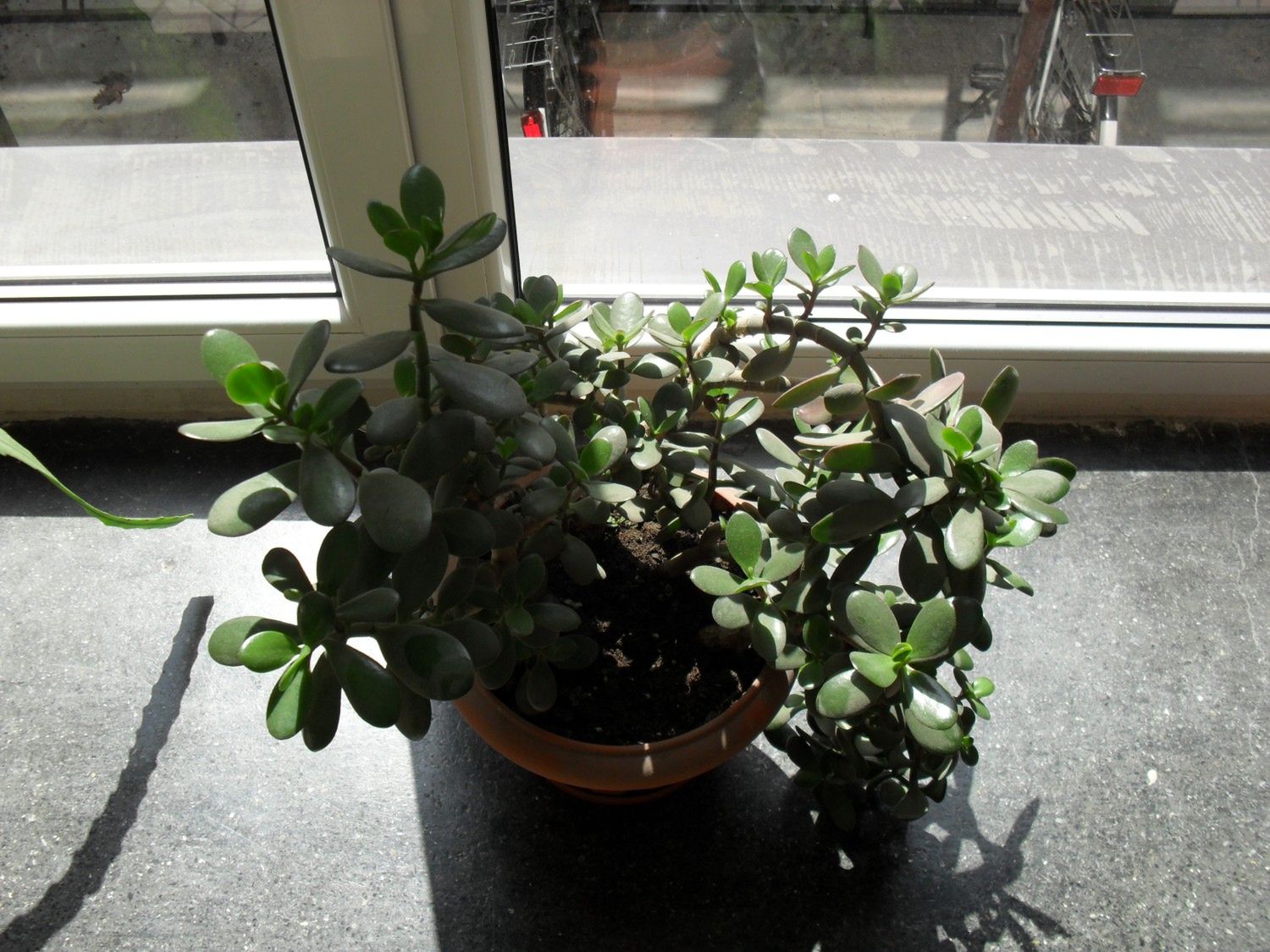Sony Ericsson Satio - test 37