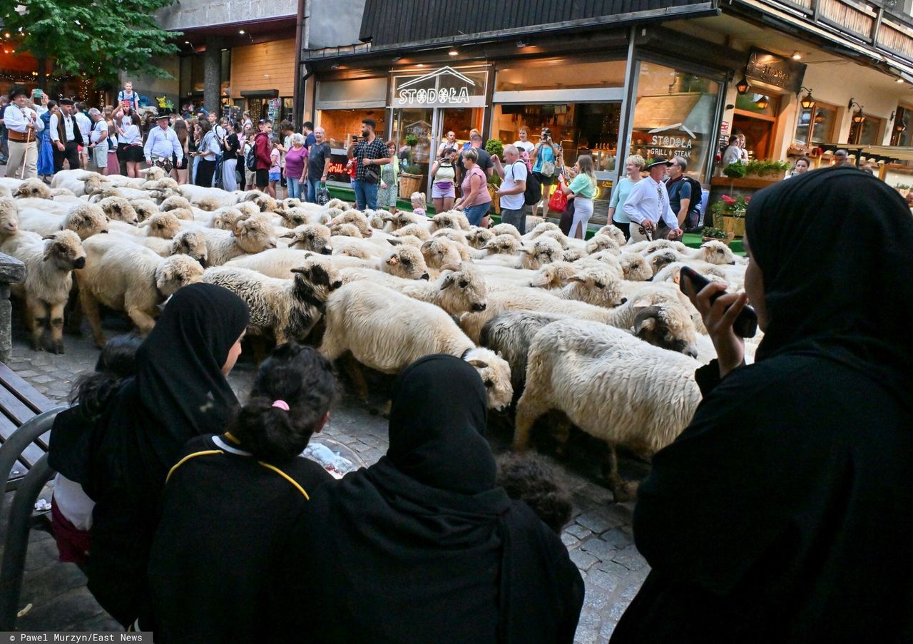 Arabowie często odwiedzają Zakopane