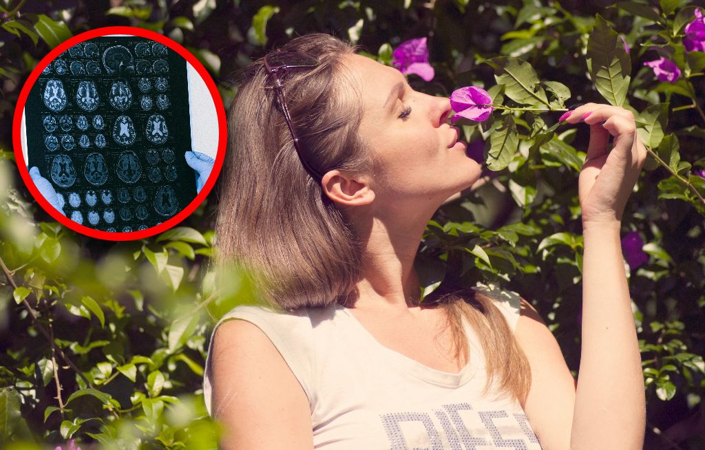 Utrata węchu jako wczesny sygnał choroby Alzheimera