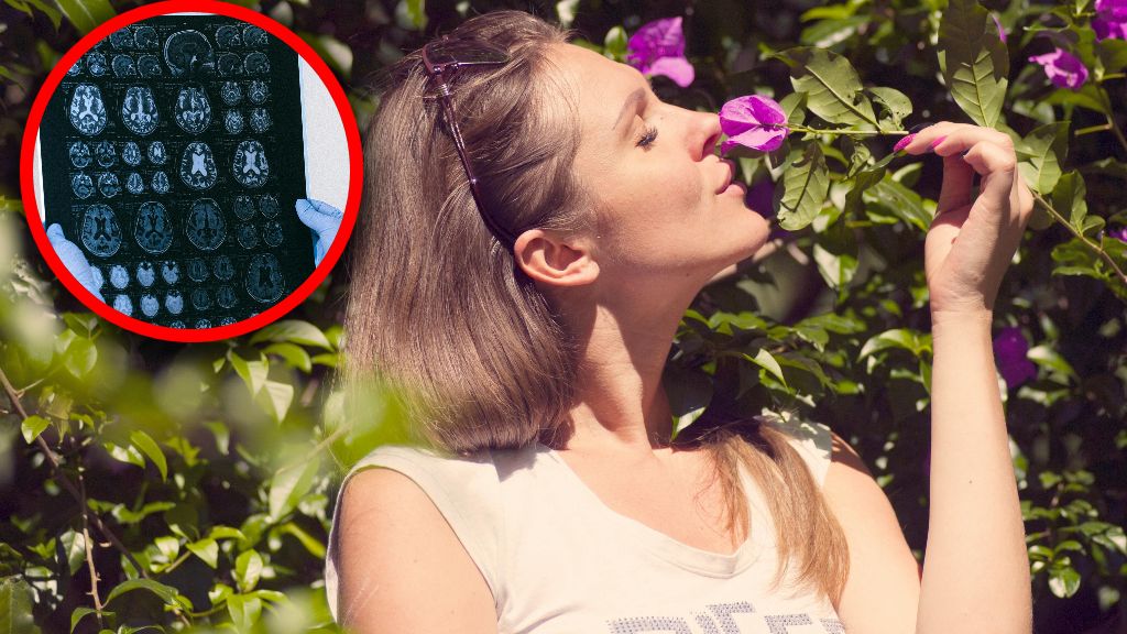 Utrata węchu jest łączona z chorobą Alzheimera