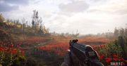 Stalker 2 na nowych screenach wygląda cudnie. Gra zapewni 100 godzin zabawy
