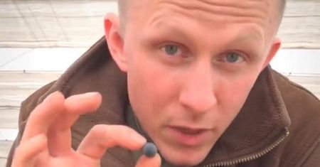 To nie są borówki. "Niech was nie zmyli wygląd". Leśnik tłumaczy
