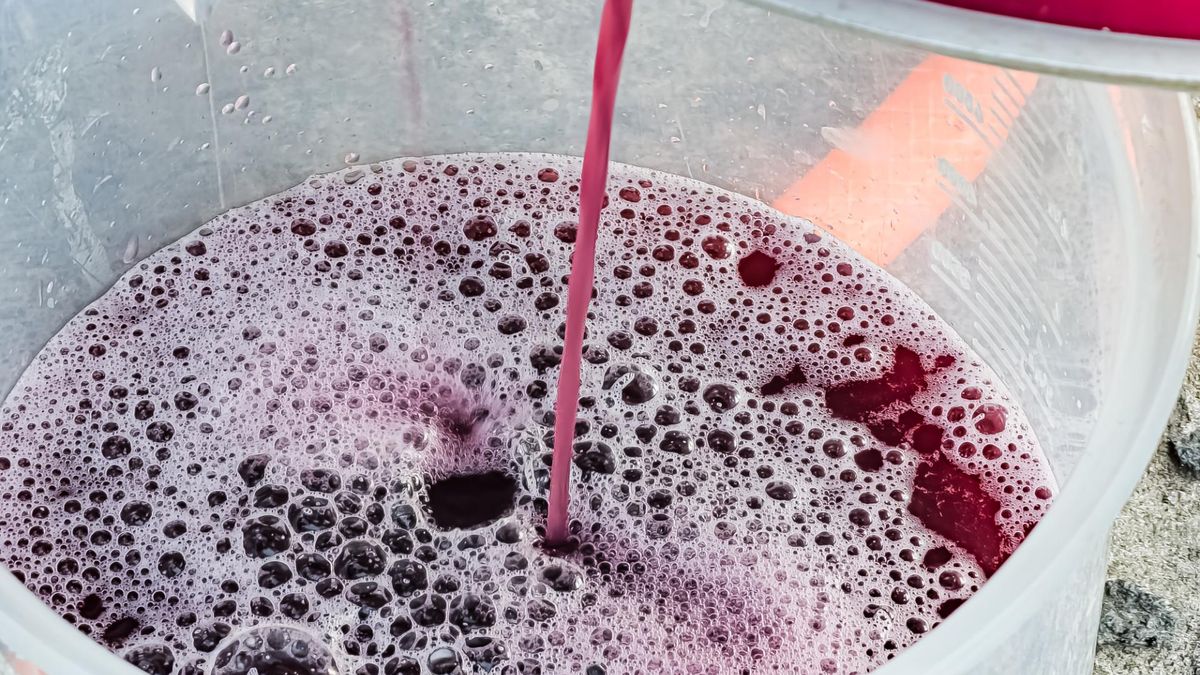 Ten sok jest pyszny. Może też wspomagać męskie libido