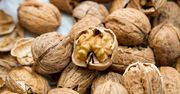 Orzechy włoskie chronią przed miażdżycą. Badacze wskazują, jaka ilość może obniżyć poziom cholesterolu