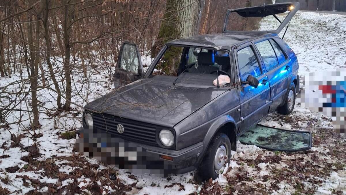 Golf uderzył w drzewo