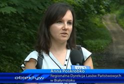 Zasłynęła w TVP materiałem o "turystce Annie". Przeszła do Polsat News