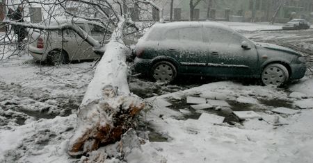 Odszkodowanie za zniszczenie samochodu w wichurze. Pieniądze nawet bez AC