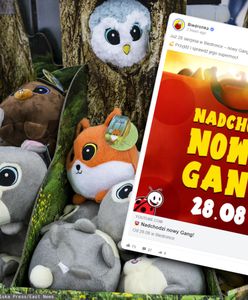 Nowy gang w Biedronce. Dyskont rusza z akcją 28 sierpnia