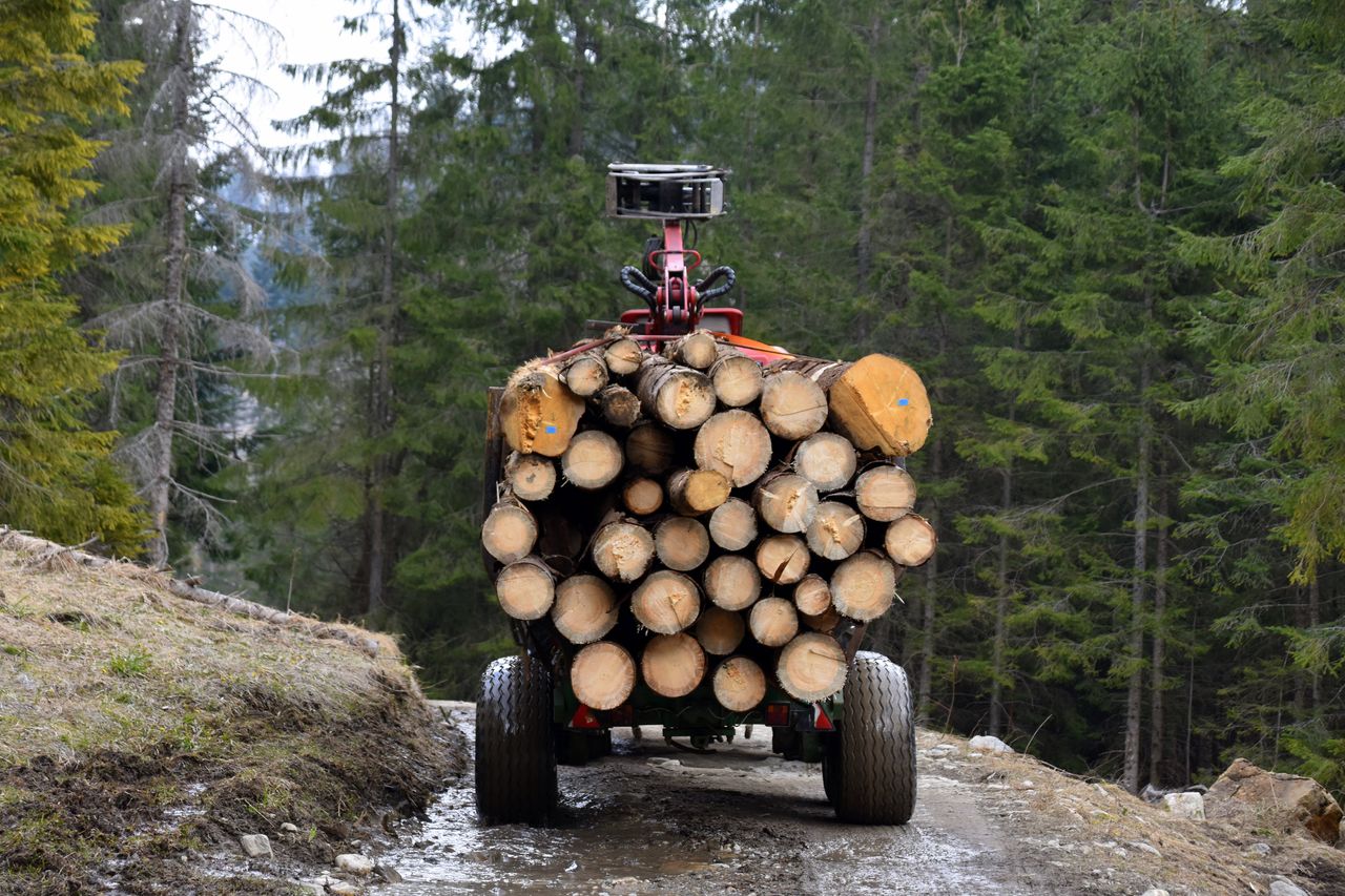 KE zagroziła Polsce karami. Dała dwa miesiące