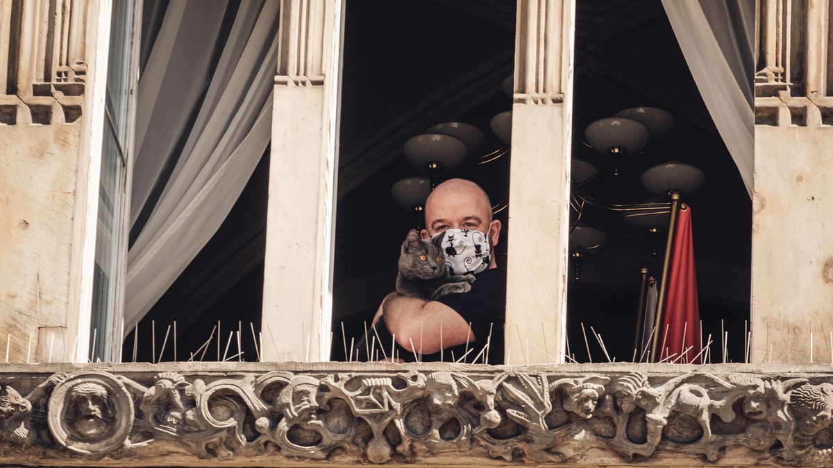 Quarantanamera, czyli izolacja po wrocławsku. Mieszkańcy nie tracą humoru 1