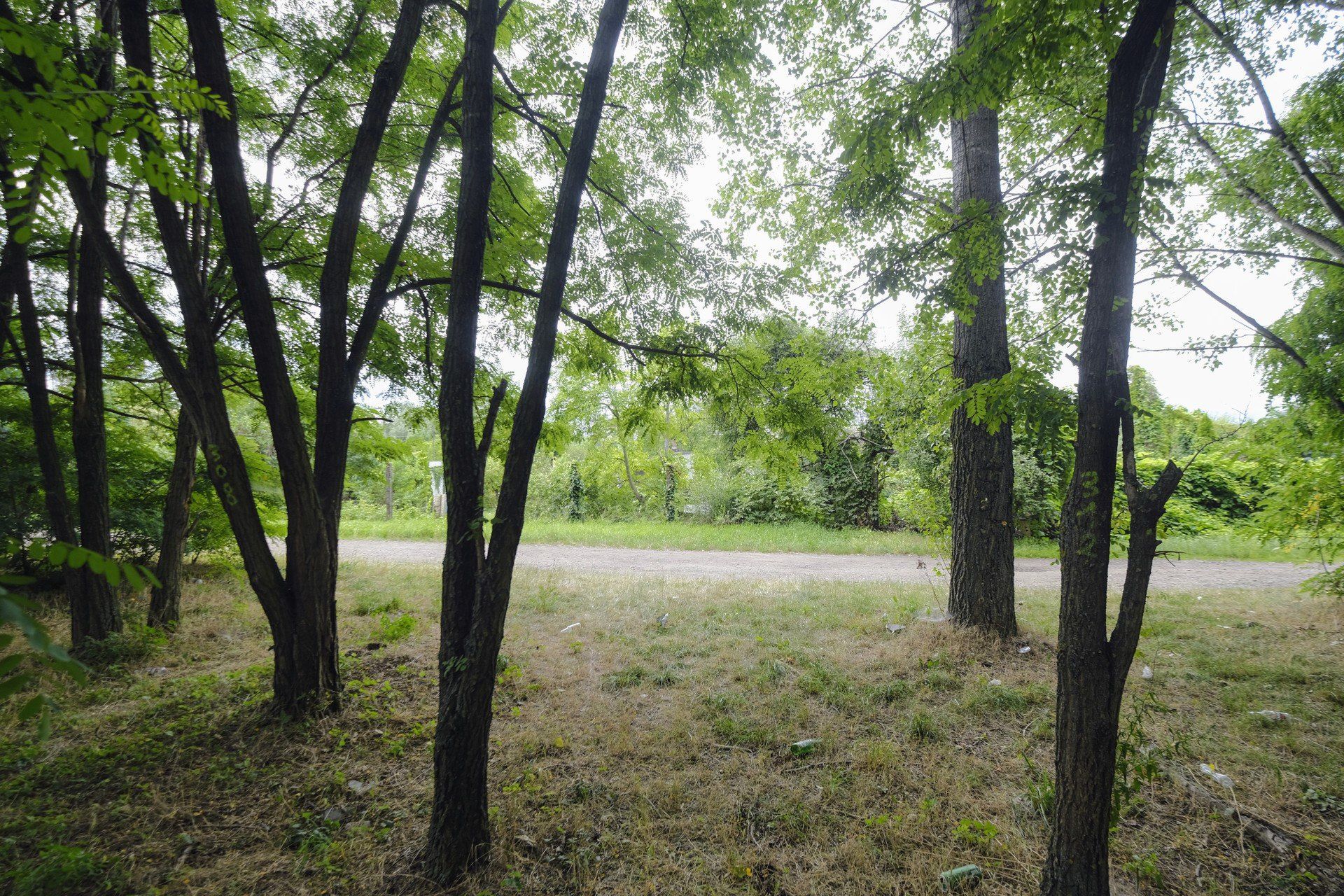 Na łazarzu powstanie nowy park? Tego chcą społecznicy i mieszkańcy.
