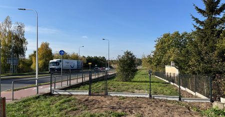 W Gostyninie powstaje pierwszy park dla psów. Będą przeszkody i miejsce do zabawy