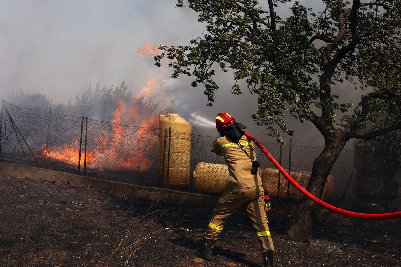 Firefighters battle strong winds as 70 forest fires rage in Greece