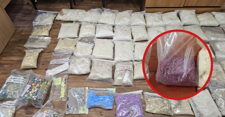 61 kg narkotyków w pustym budynku. Szokujące odkrycie policji