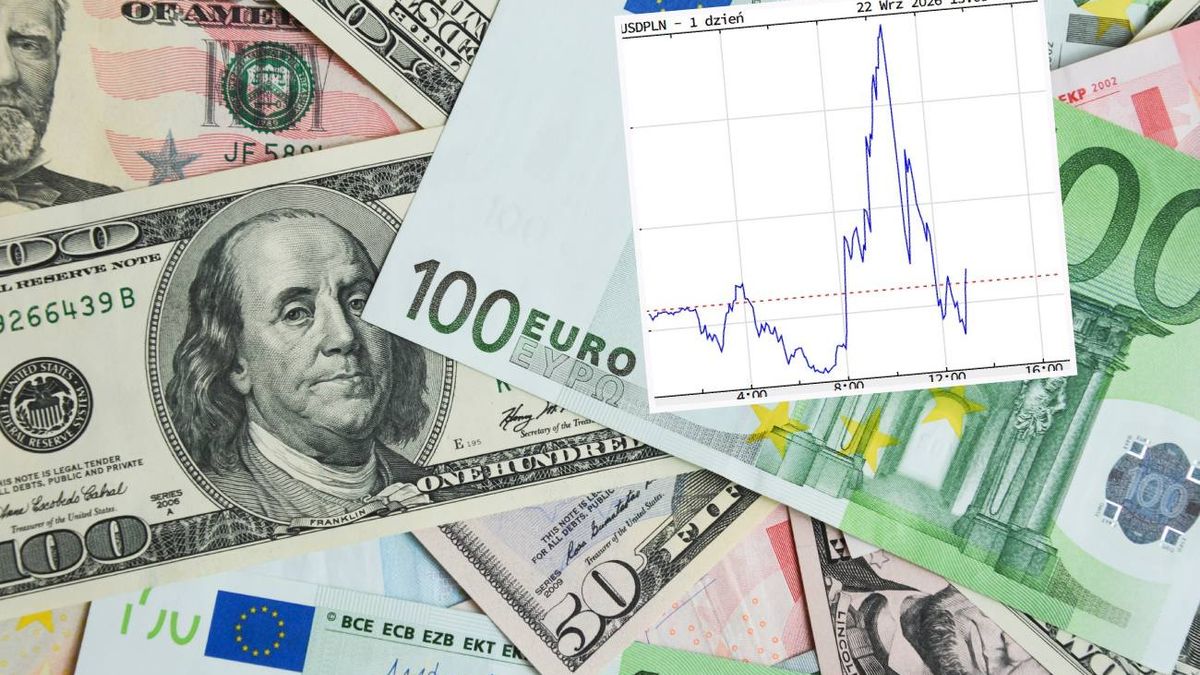 Mocne wahnięcie w kursach złotówki do euro i dolara