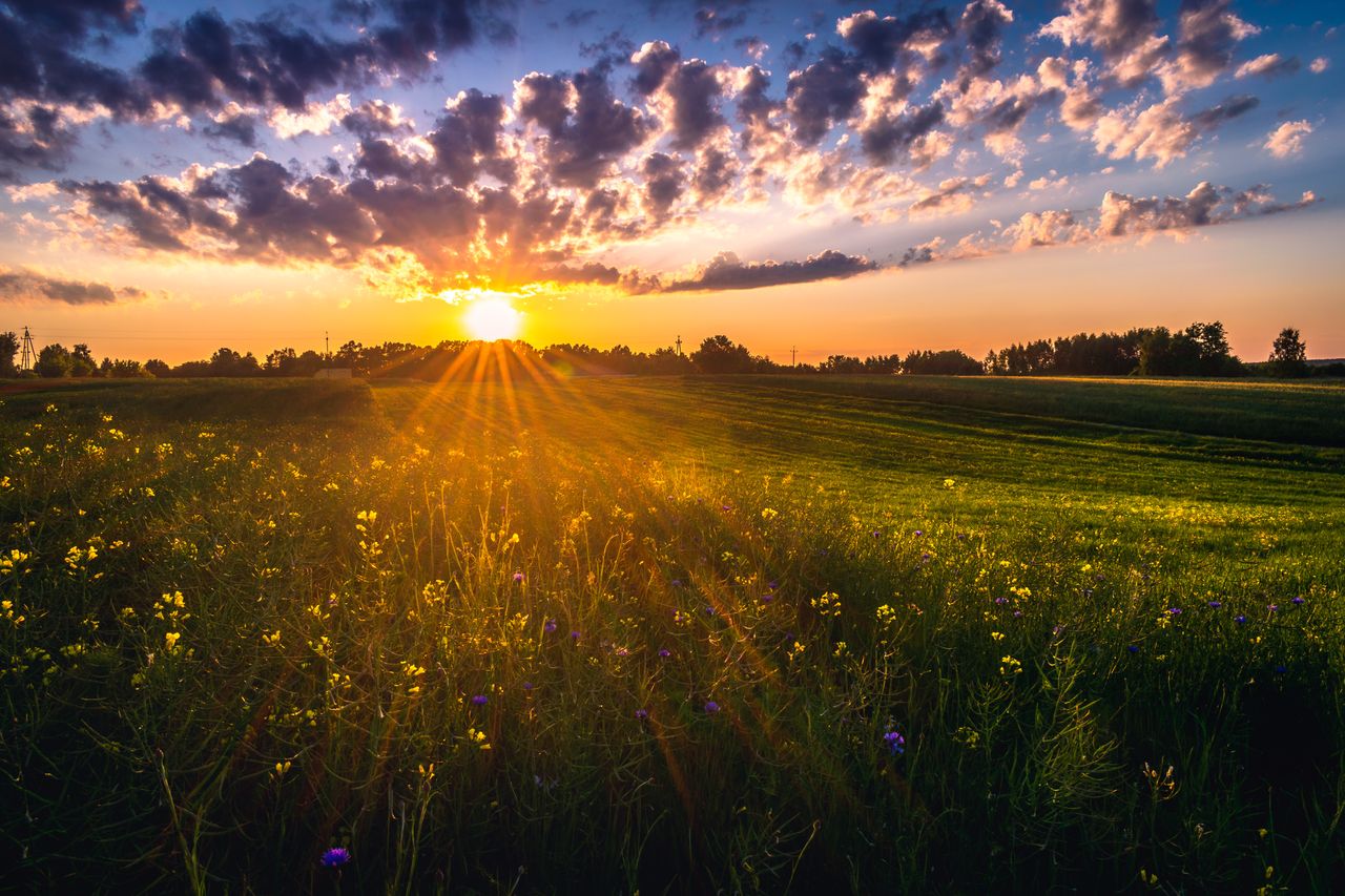 Najtrudniejsze nazwy wsi w województwie świętokrzyskim. Językowe łamańce z mapy regionu