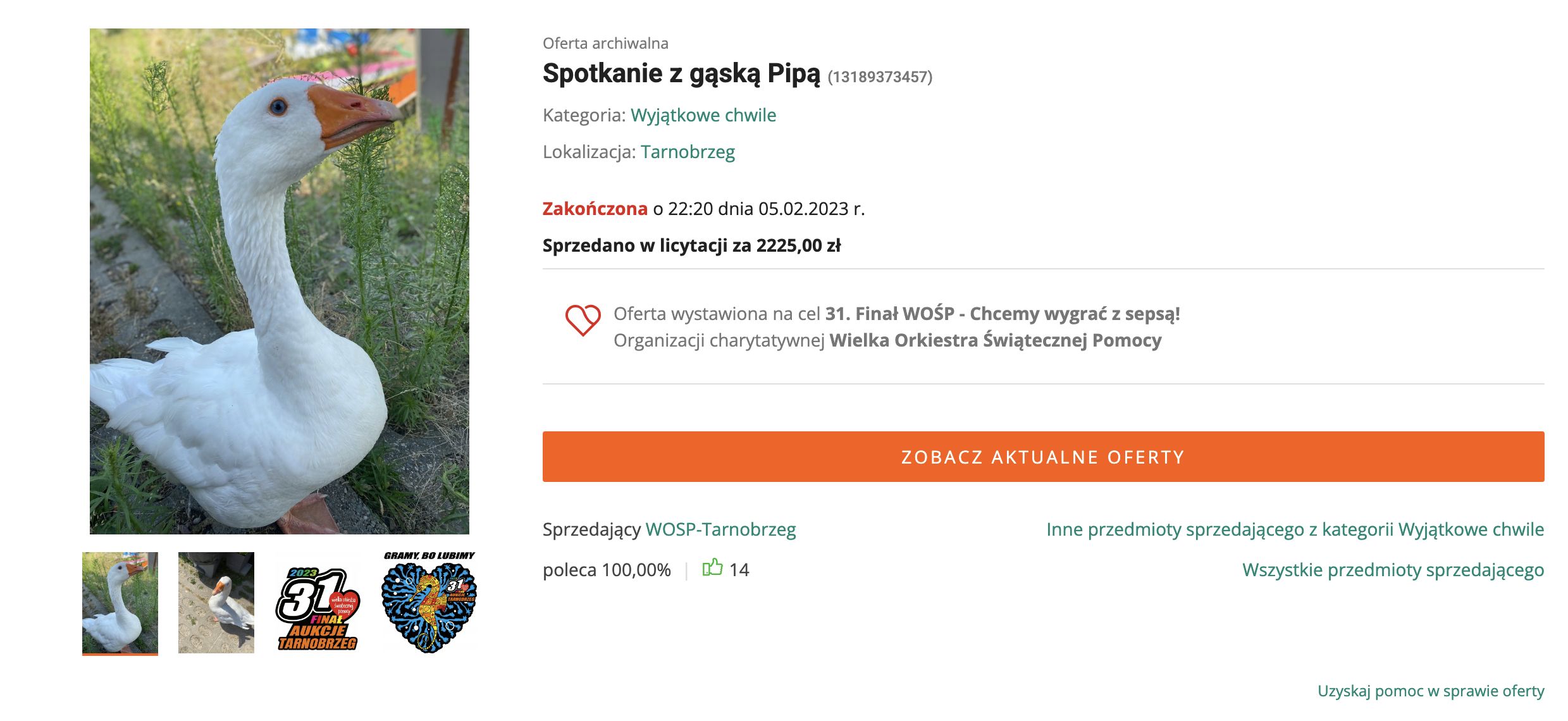 Spotkanie z gąską Pipą