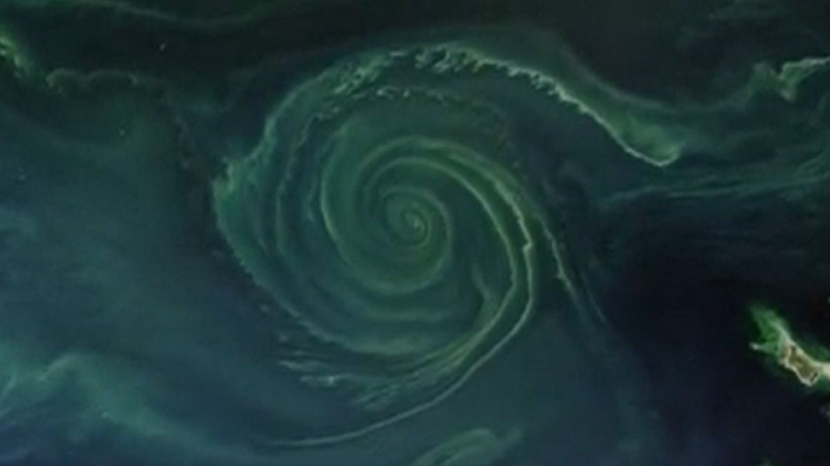 Potężny zielony wir na Morzu Bałtyckim. To poważne ostrzeżenie. Zjawisko podobne do zaobserwowanego w tym roku, dzięki sprzętowi NASA, udało się dostrzec również w 2018 roku