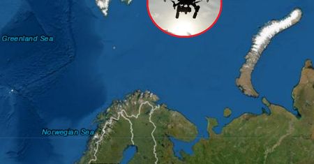 Norwegowie dopadli syna zausznika Putina. Wpadł na Svalbardzie