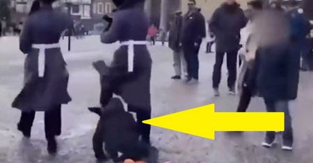 Straż Królowej stratowała dziecko. Skandaliczne nagranie z Londynu