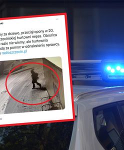 "Człowiek-choinka" zatrzymany. Za wybryk grozi mu więzienie