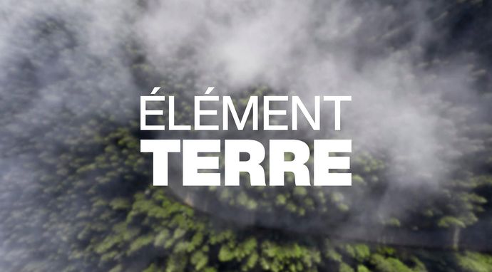 Elément Terre