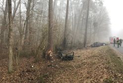 Wypadek w Wielkopolsce. Kierowca uderzył w drzewo