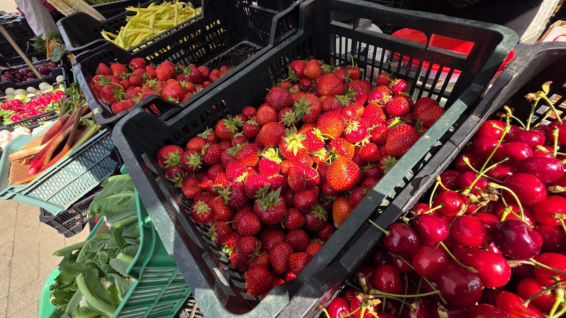 Targ w Śremie - 06-06-2025