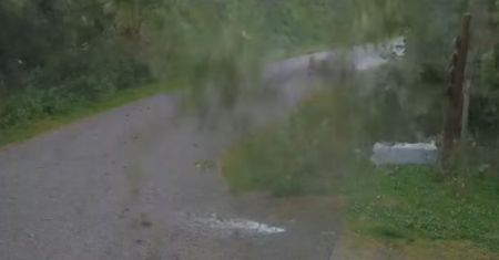 Leśnicy pokazali mocne nagranie. "Omijajmy szerokim łukiem"