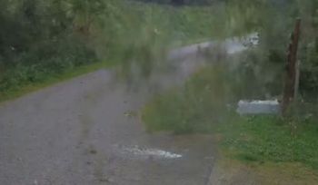 Leśnicy pokazali mocne nagranie. "Omijajmy szerokim łukiem"