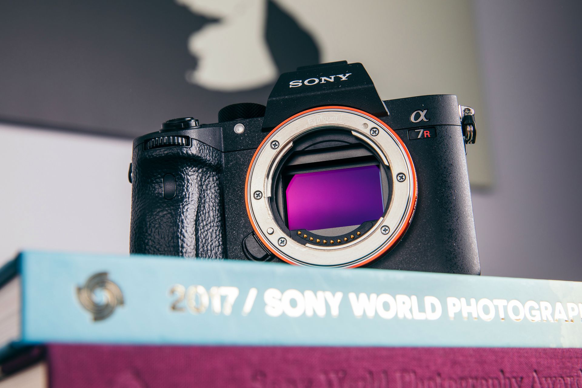 Sony A7R III - król bezlusterkowców [test] 212