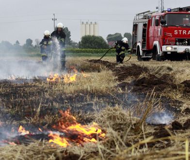 Szyfin: Tragiczny finał gaszenia pożaru zboża. Nie żyje strażak OSP