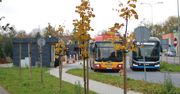 Zamość: W Hetmańskim Grodzie może powstać osiem nowych przystanków
