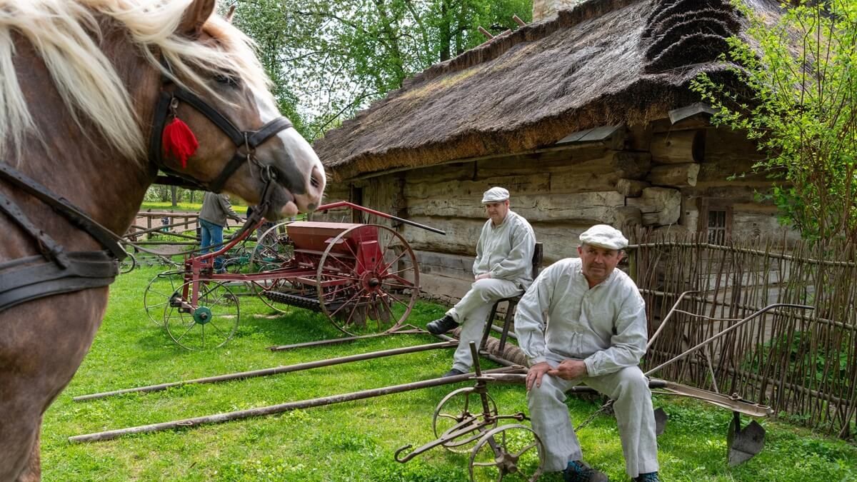 Pokaz orki konnej w Muzeum Wsi Lubelskiej