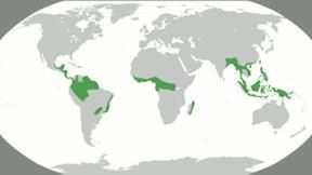 Sieć komputerowa prześledzi zmiany klimatu na Ziemi 1