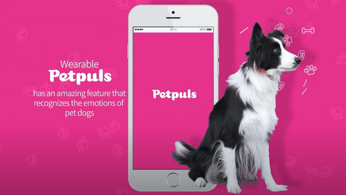 Petpuls - obroża, która powie, jak czuje się pies wyróżniona na CES 2021 1