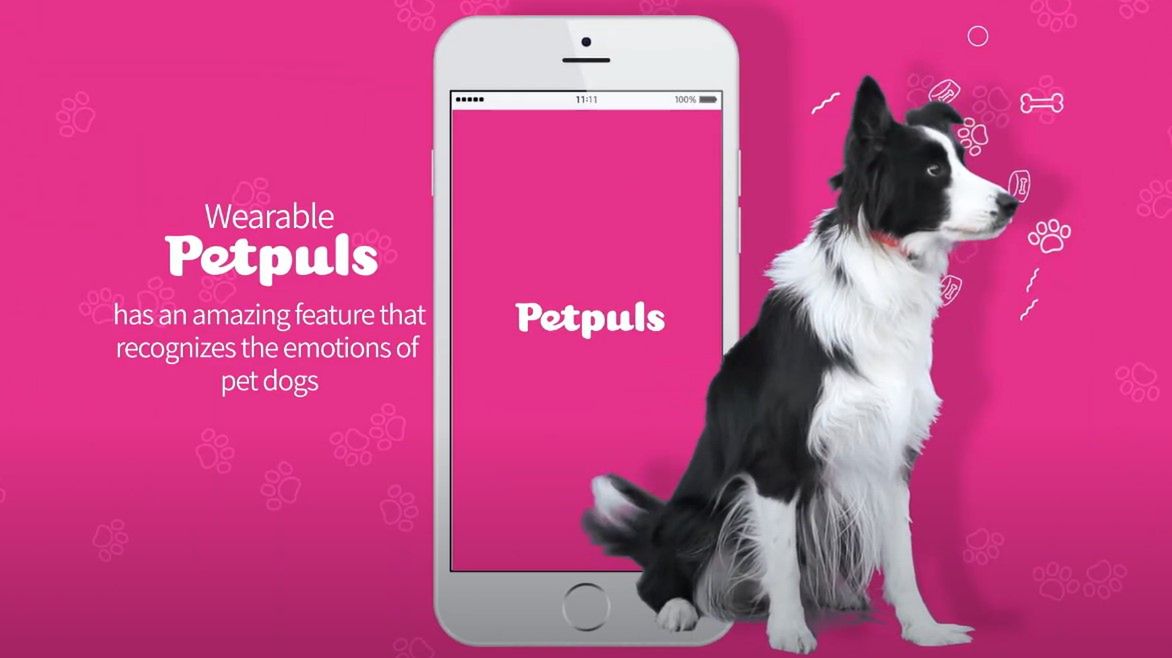 Petpuls - obroża, która powie, jak czuje się pies wyróżniona na CES 2021 1