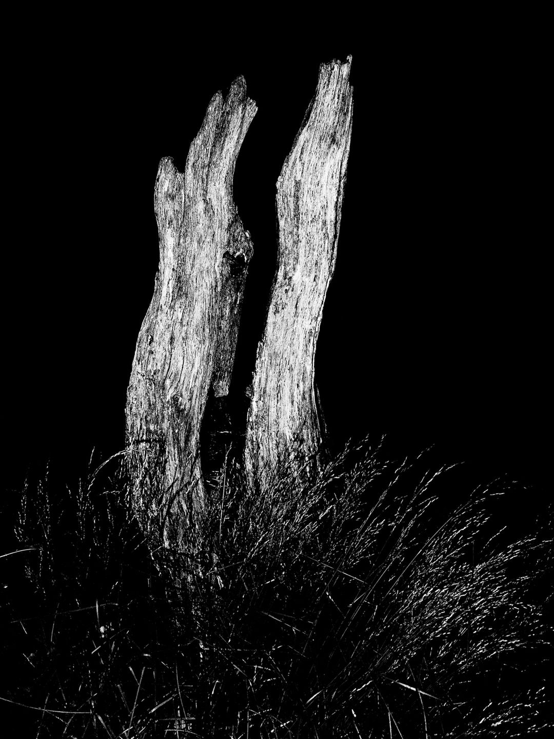 Fotofestiwal pokazuje zdjęcia. Jedenaście w jednym, czyli fotograficzne szaleństwo Szkoły Filmowej [cz. IV] 6