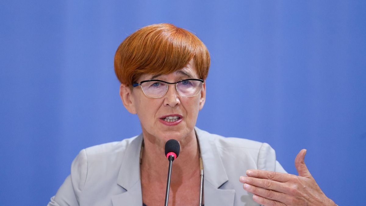 Rafalska chce "pas startowy dla tych, którzy zaczynają działalność gospodarczą troszeczkę wydłużyć"