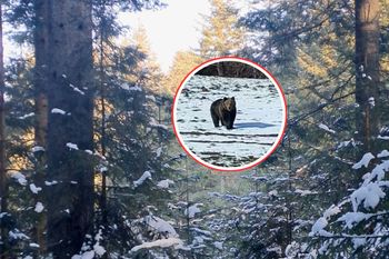 Wyjechali na patrol. Był zaskoczony. Stał i wpatrywał się w auto